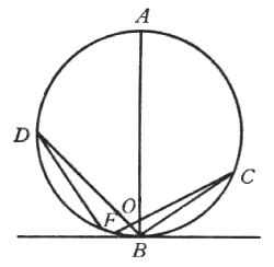 Figura 51