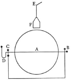 Figura 12