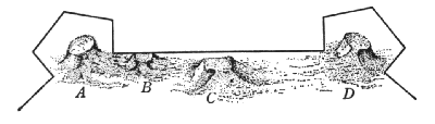 figura17.gif (14512 byte)
